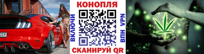 Магазин наркотиков Новотитаровская АМФЕТАМИН  Меф мяу мяу  Псилоцибиновые грибы  Марихуана  СК  ГАШИШ 