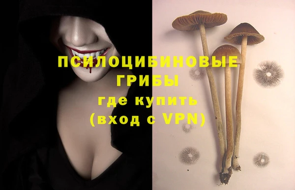 ALPHA PVP Сосновый Бор