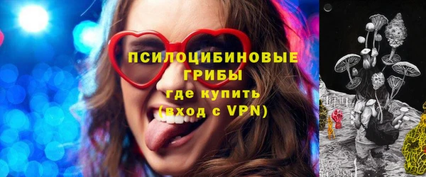 apvp Сосновоборск