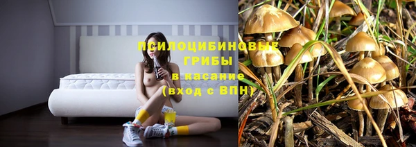 скорость Новокубанск