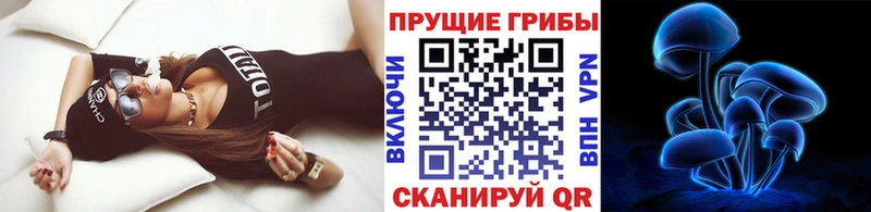 это официальный сайт  Новотитаровская  Псилоцибиновые грибы прущие грибы  купить  цена 