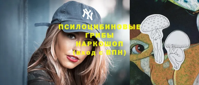 цены наркотик Новотитаровская Псилоцибиновые грибы мухоморы